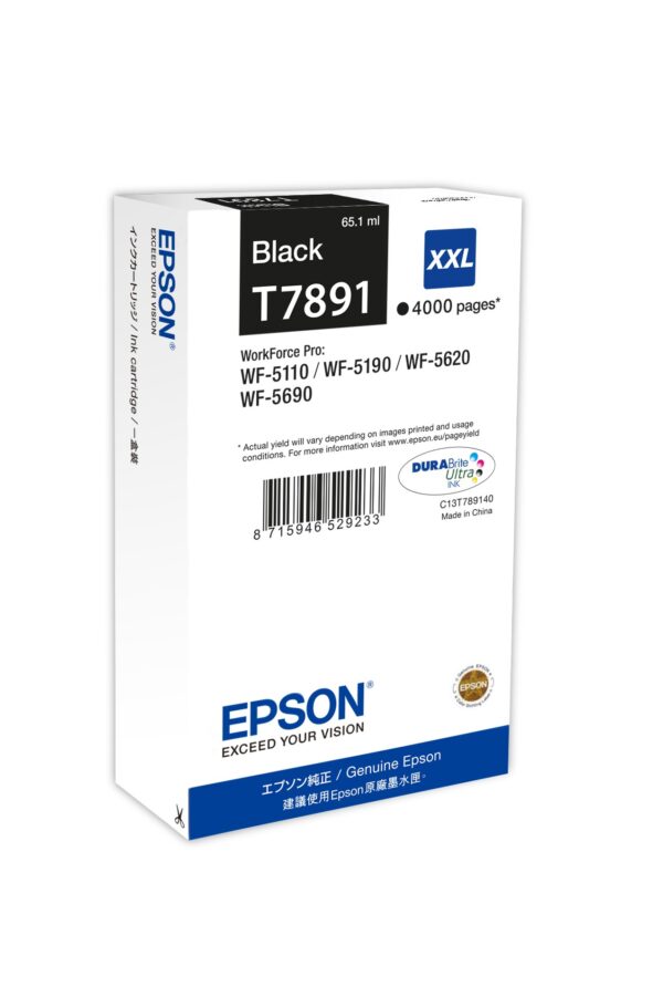 Epson Cart Ink Nero Xxl Per Wf-5100-51900-5620-5690-Xxl, Serie Torre Di Pisa