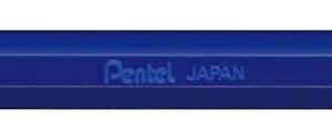 Pentel Mattehop Penna a sfera - Punta da 1 mm - Corsa da 0,5 mm - Inchiostro gel opaco - Realizzata con il 55% di materiali riciclati - Colore blu