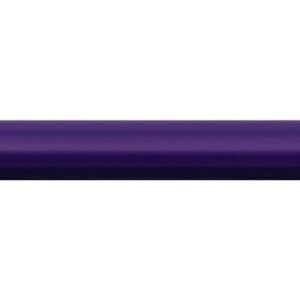 BIC 9641481 pastello colorato 24 pz