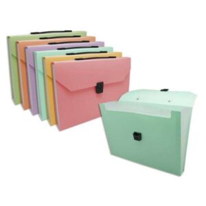 Bismark Cartella a Soffietto con 12 Reparti A4 in Polipropilene - Chiusura a Fibbia - Colori Pastello Assortiti
